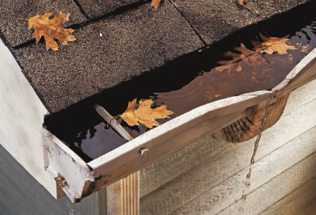 gutters cleaning services